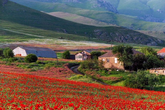Mtskheta,Jvari,Gori,Uplistikhe(private tour) - Jvari Monastery and the view over Mtskheta