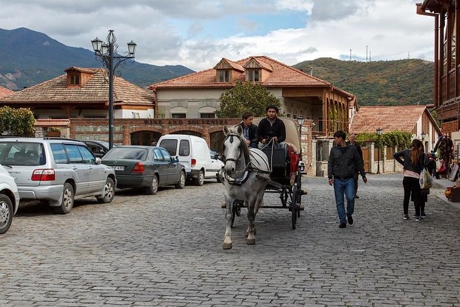 Mtskheta - Jvari Private Tour + Chronicles of Georgia - Who should book this tour