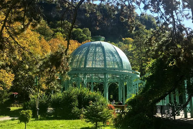 Mtskheta Uplistsikhe Borjomi in one day tour - Private transport and pacing