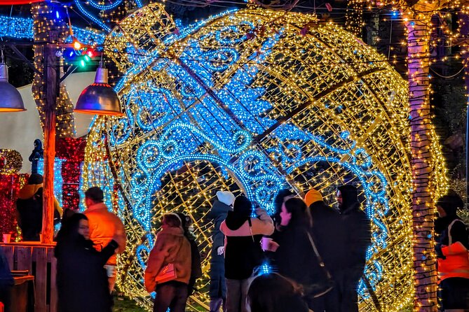New Year in Tbilisi: Christmas Market and Hidden Gems Tour - Why the guide matters on this tour