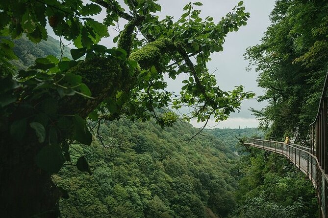 Private Canyon &Cave Tour from Batumi(Martvili,Okatse,Prometheus) - Timing, order, and weather