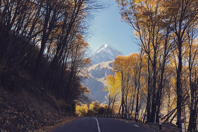 Private Day Trip to Gudauri and Kazbegi from Tbilisi via Jvari and Mtskheta - The vehicle, guide, and pace