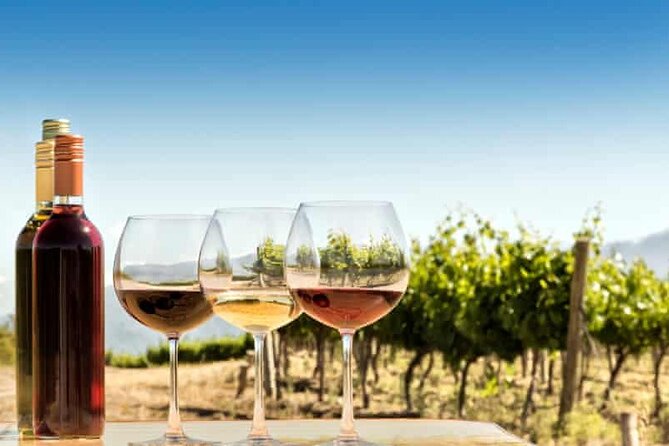 Private Day Trip to Kakheti Wine Region Including Wine Tasting - Who Should Book This Kakheti Day Trip?