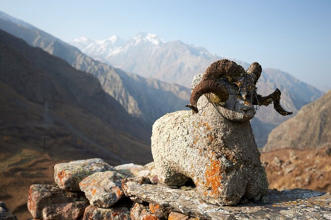 Private day trip to the Caucasus mountains and the Russian border - Dariali Gorge and the Russian border