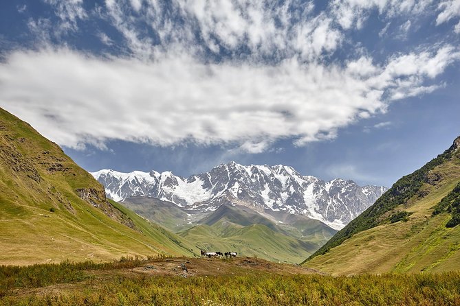 Private five days tour to Svaneti-Mestia, Ushguli, Becho,Chalaadi - Day 3: Ushguli and the road toward Mount Shkhara