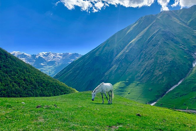 ️Private Full-Day Tour to Mtskheta and Kazbegi(stepantsminda) from Tbilisi - Mtskheta and the Aragvi-Mtkvari meeting point