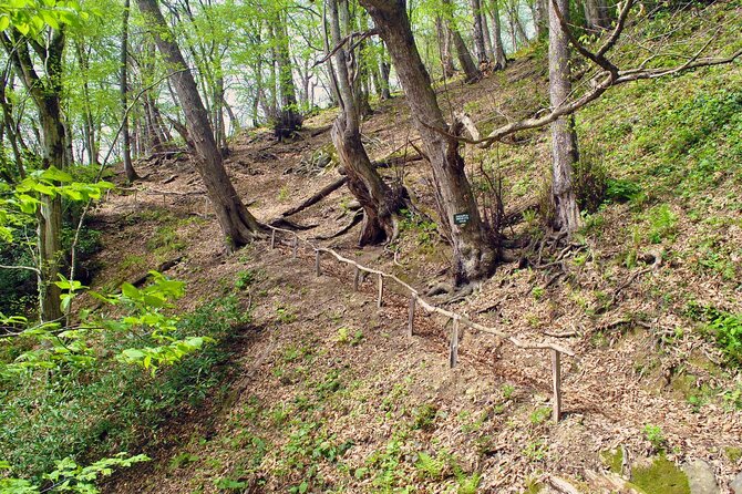 Private Hiking Tour to Machakhela National Park from Batumi - Weather, timing, and what to pack