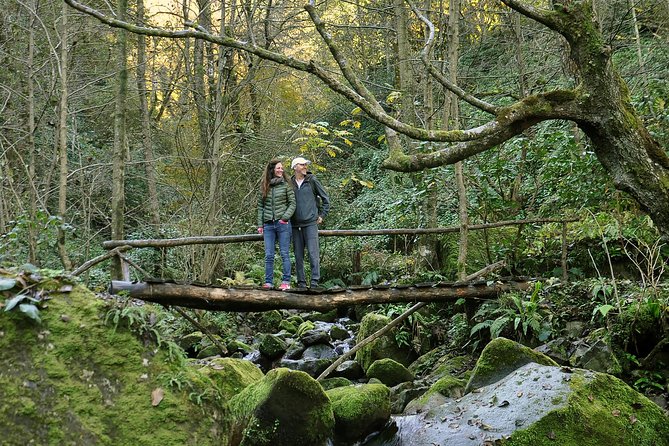 Private Hiking Tour to Mtirala National Park from Batumi - Why Mtirala makes a good half-day escape from Batumi