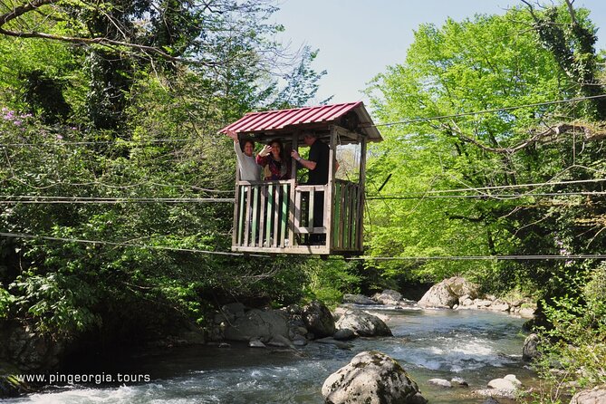 Private Hiking Tour to Mtirala National Park from Batumi - The Chestnut Trail, six kilometers through the park