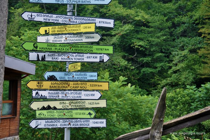 Private Hiking Tour to Mtirala National Park from Batumi - A guide can add more than directions