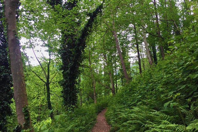 Private Hiking Tour to Mtirala National Park from Batumi - Hotel pickup keeps the morning simple