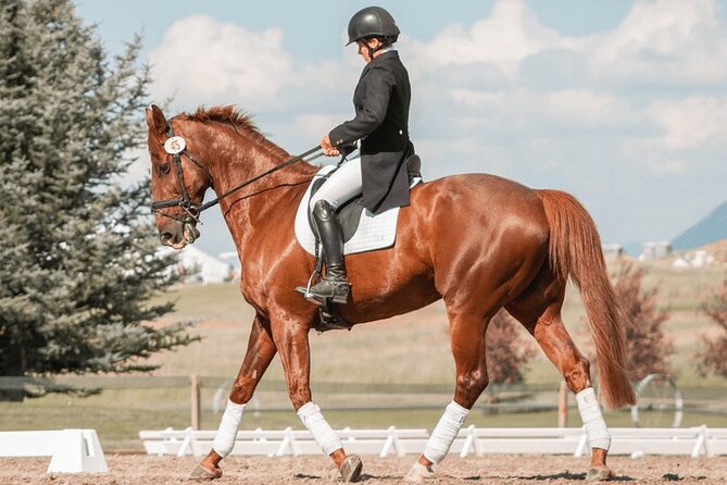Private Horse Ridding tour - Key points to know before you book