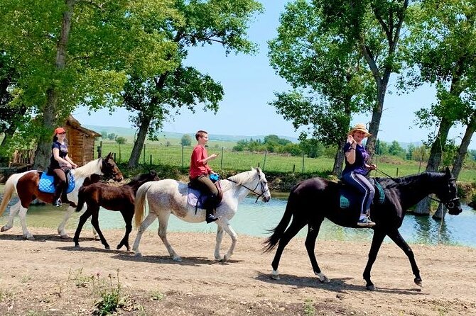 Private Horse Ridding tour - Getting ready with an instructor and equipment
