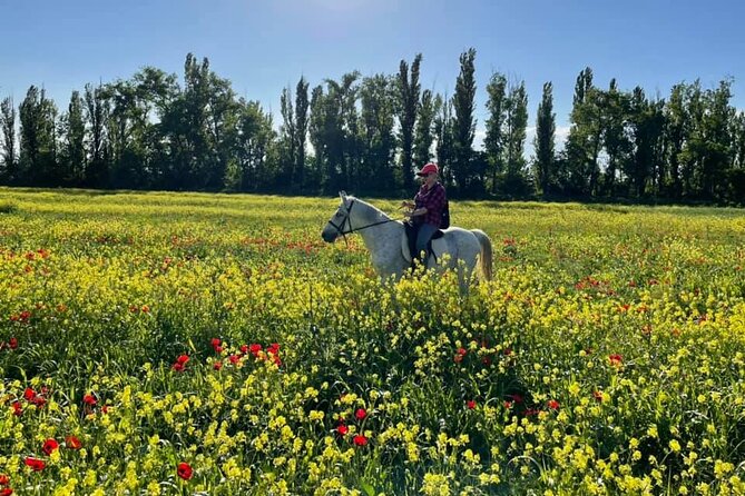 Private Horse Ridding tour - Why the private format matters