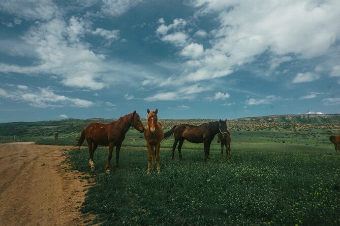 Private Horse Riding Adventure in Tbilisi - Getting photos while you ride