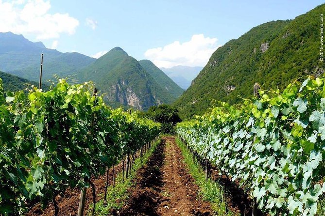 Private Tour to Mtskheta and Georgian Wine Tasting from Tbilisi - Château Mukhrani, from royal estate to modern winery