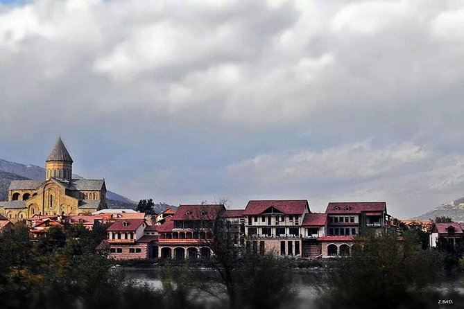 Private Tour to Mtskheta and Georgian Wine Tasting from Tbilisi - What the private format is worth at $188