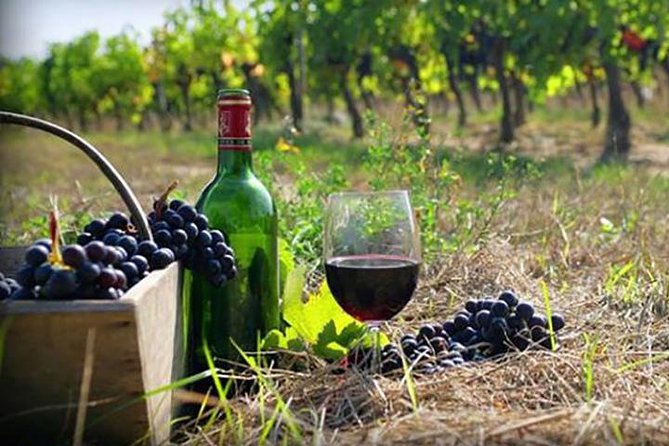 Private Wine Tour to Kakheti from Tbilisi - Crossing Gombori Pass from Tbilisi