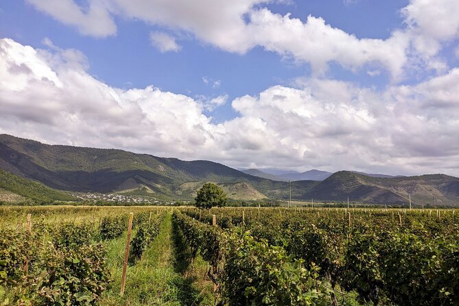 RACHA region with TSKHRAJVARI and wine tasting from Kutaisi - What is included and what is extra