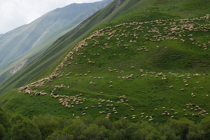 Round-Trip Bus Transfer to Truso Valley from Kazbegi - Key points to know before booking