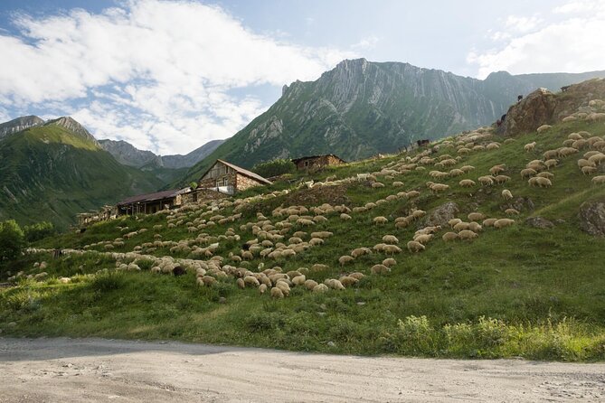 Round-Trip Bus Transfer to Truso Valley from Kazbegi - Mineral springs, pools, and the open valley