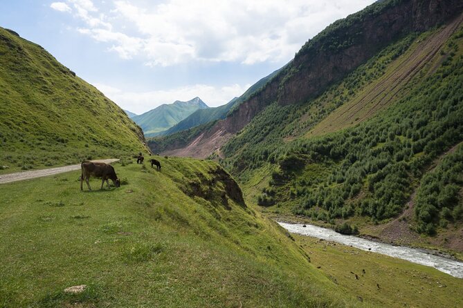 Round-Trip Bus Transfer to Truso Valley from Kazbegi - What the $22.53 price really covers