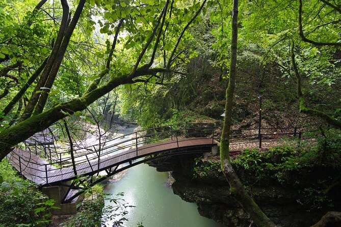 Sabaduri forest, Chronicles of Georgia, wolves and bears Zoo - The wine and cheesemaking confusion