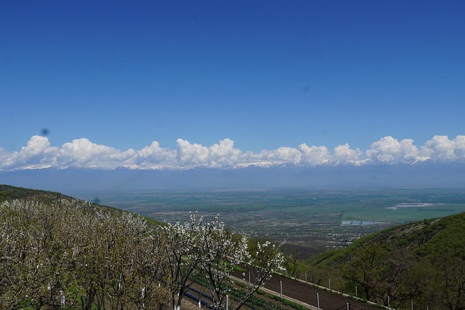 Secrets of Kakheti: Wine & Home-Cooked Lunch - KTW winery begins the wine story