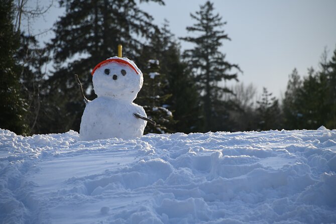 Ski & Snow Tour to Bakuriani from Kutaisi with Borjomi Stop - Snow conditions can change the whole plan