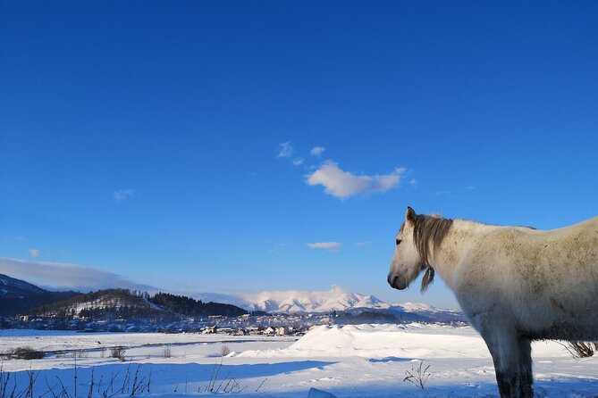 Ski & Snow Tour to Bakuriani from Kutaisi with Borjomi Stop - Food, timing, and what the price really covers