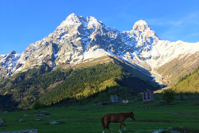 Svaneti Mountain Villages 4x4 Safari, tour from Kutaisi - Key points to know before you book