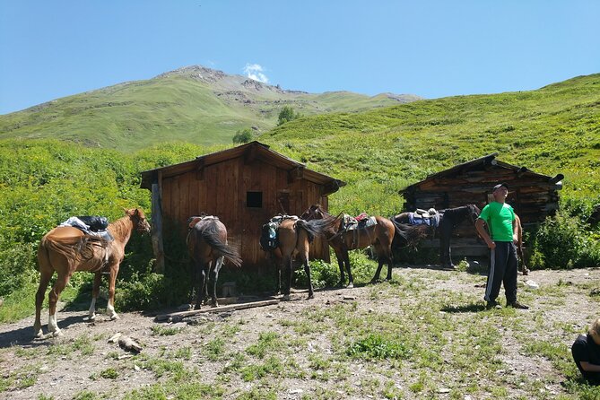 Svaneti Mountain Villages 4x4 Safari, tour from Kutaisi - What the price really covers