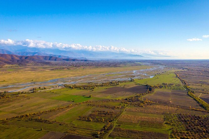 Taste of Kakheti: Wine Tour Bread Baking & Churchkhela Workshop - Telavi’s giant plane tree