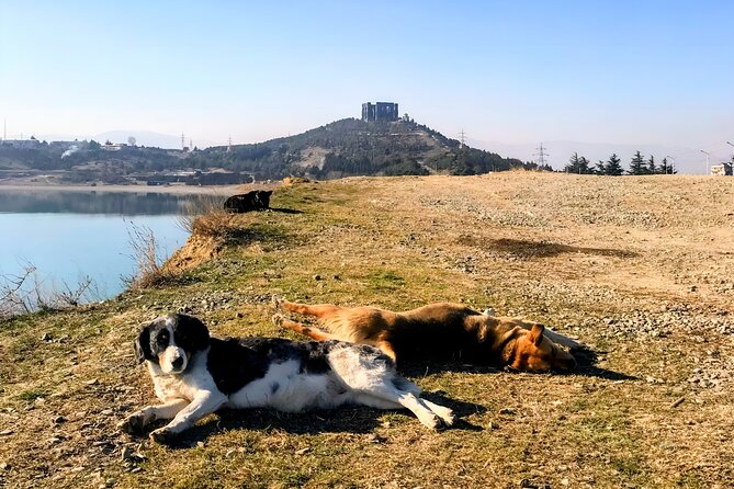 Tbilisi: Sabaduri Forest, Georgian Stonehenge & Bear Sanctuary - Jvari Monastery above Mtskheta