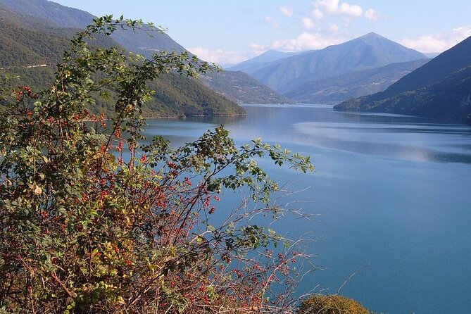 Tbilisi to Kazbegi, Gudauri, and Ananuri Day Tour - Gudauri is made for photographs