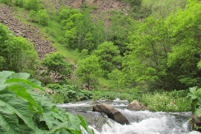 Trip to The Diamond Bridge and Dashbashi Canyon - What the $69 price really buys you