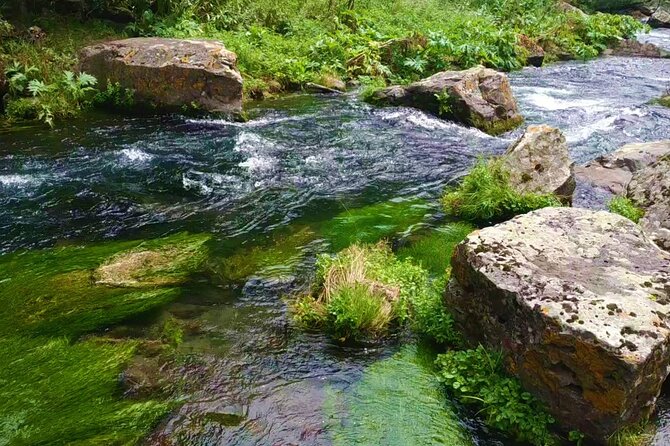 Tsalka Canyon Tour from Tbilisi with Poka Nunnery, Gorelovka and Asureti - Why this day trip is worth the long road