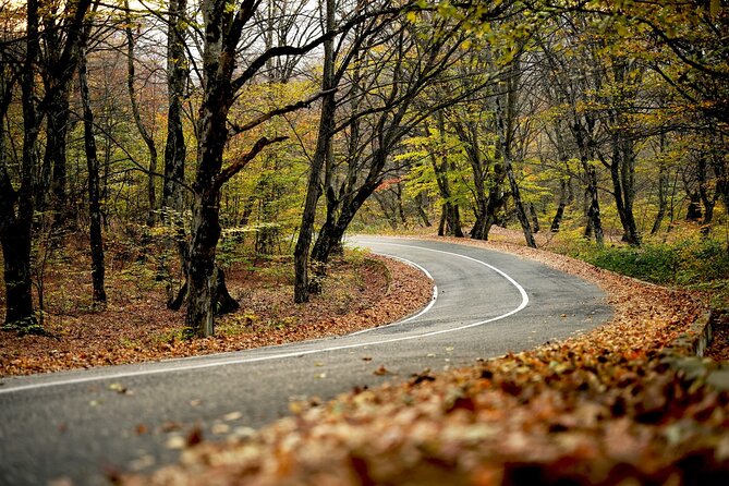 Whole day Wine Tour to Kakheti from Tbilisi - Gombori Pass closes the day with mountain scenery