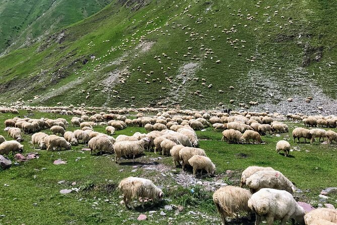 Wild Georgia 4WD PACK Adventure through Kakheti and Kazbegi 2in1 - Day 2: the road to Kazbegi