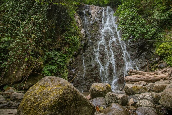 Wine and Dine Tour To Batumi Waterfalls - Mountainous Adjara - Makhuntseti and Queen Tamar’s arched bridge
