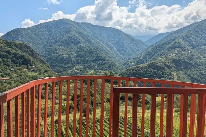 Wine and Dine Tour To Batumi Waterfalls - Mountainous Adjara - Who will enjoy this outing most